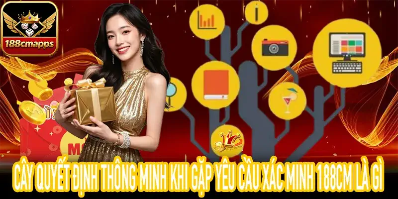 Biểu đồ quyết định xử lý khi biết xác minh 188CM là gì thực tế